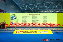 “全链协同?智创未来”――2025 DMP 工博会盛大启幕(图6)